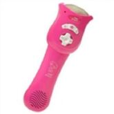 Adorável Crianças Música Microfone Set Início Toy Simulação
